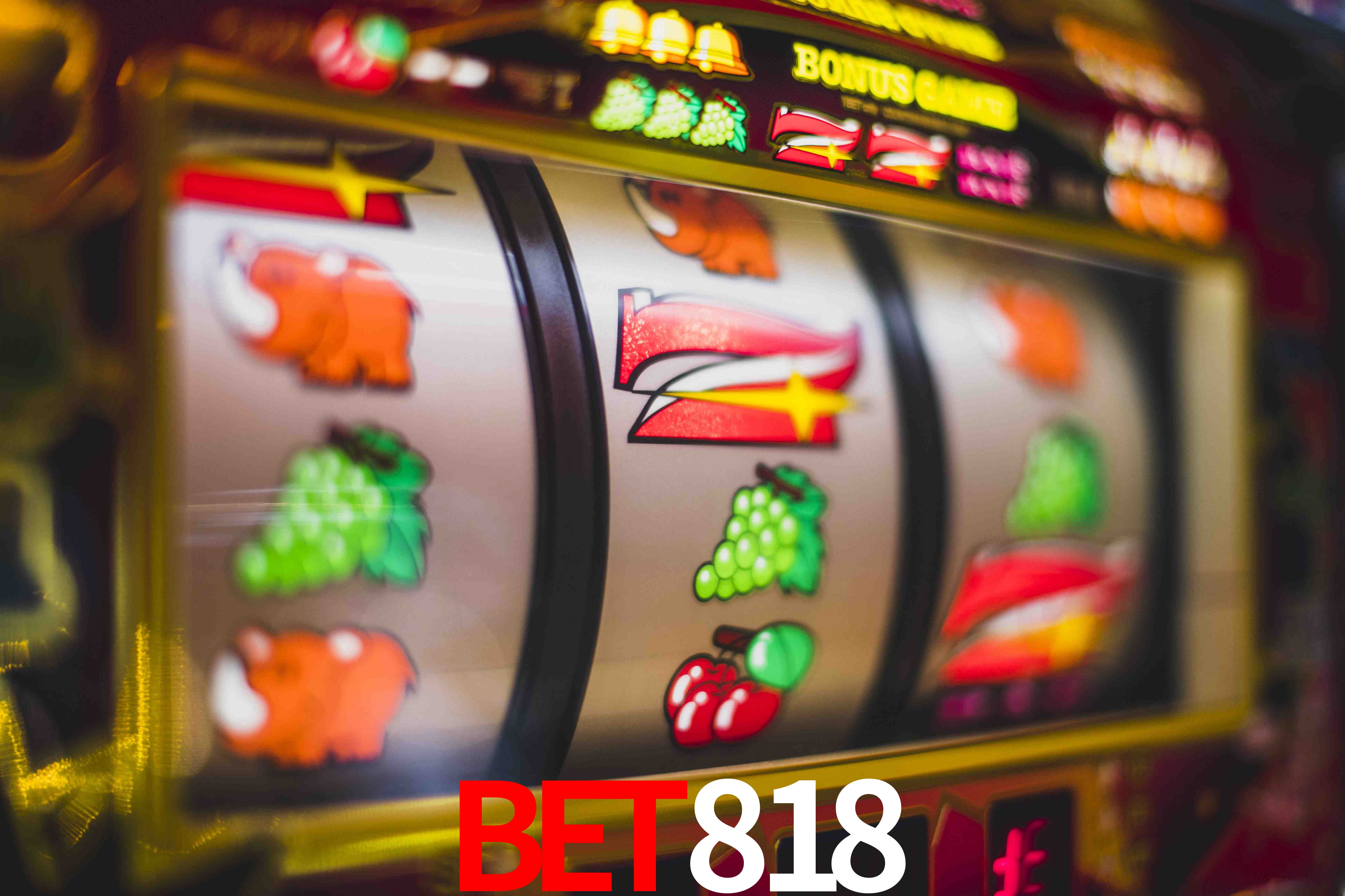 Experiência VIP bet818